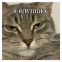 స్టికర్