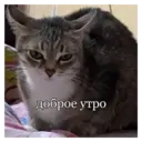 స్టికర్