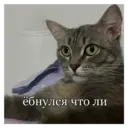 స్టికర్