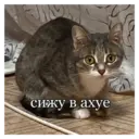 స్టికర్