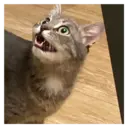 స్టికర్