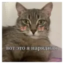 స్టికర్