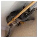 స్టికర్