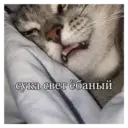 స్టికర్