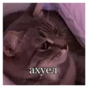 స్టికర్