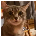 స్టికర్