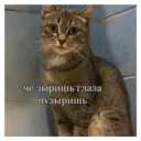 స్టికర్