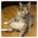 స్టికర్