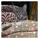 స్టికర్