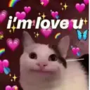 স্টিকার