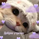 স্টিকার