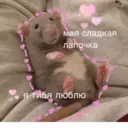 স্টিকার