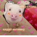 স্টিকার