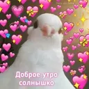 স্টিকার