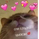 স্টিকার