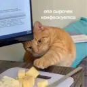 ஸ்டிக்கர்