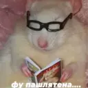 ஸ்டிக்கர்