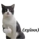 ஸ்டிக்கர்