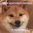 ஸ்டிக்கர்