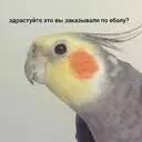 ស្ទីកเกอร์