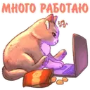 Կպչուն պիտակ