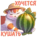 Կպչուն պիտակ