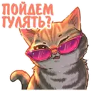 Կպչուն պիտակ