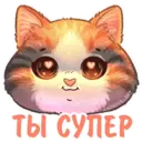 Կպչուն պիտակ