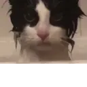 สติกเกอร์