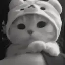 ස්ටිකර්