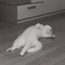 ස්ටිකර්