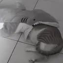 ස්ටිකර්