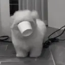 ස්ටිකර්