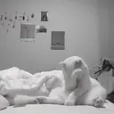 ස්ටිකර්