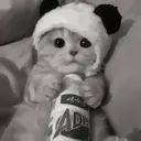 ස්ටිකර්