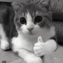 ස්ටිකර්