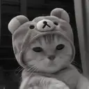 ස්ටිකර්