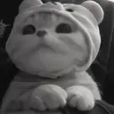 ස්ටිකර්