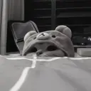 ස්ටිකර්