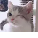 স্টিকার