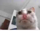 স্টিকার