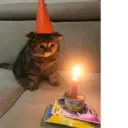 স্টিকার