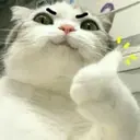 স্টিকার