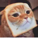 স্টিকার