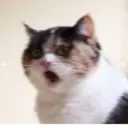 স্টিকার