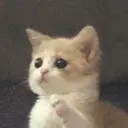 স্টিকার