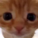 স্টিকার