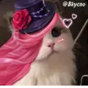 ස්ටිකර්