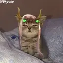 ස්ටිකර්