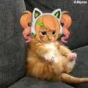 ස්ටිකර්